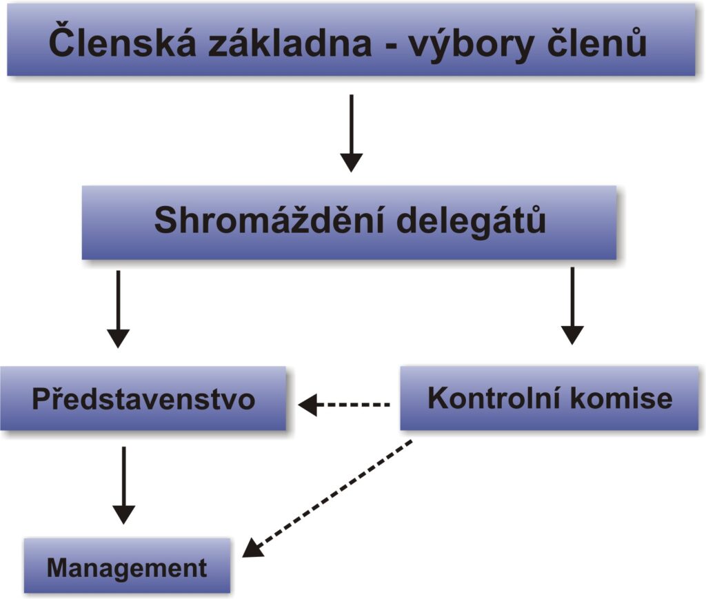 Struktura družstva